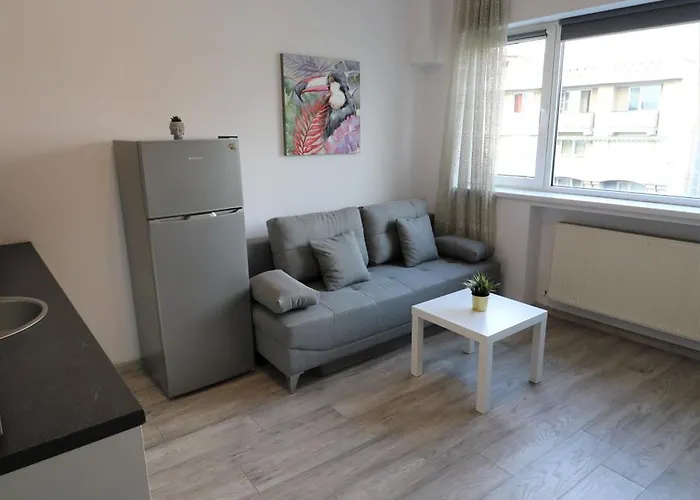 公寓 Cozy Deluxe - Old Town - Free Minibar 布加勒斯特
