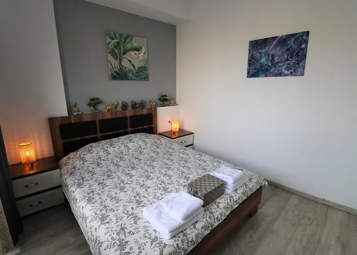 公寓 Cozy Deluxe - Old Town - Free Minibar 布加勒斯特